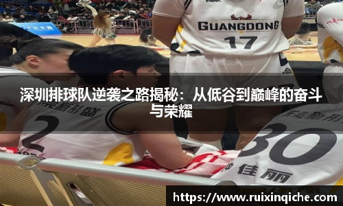 深圳排球队逆袭之路揭秘：从低谷到巅峰的奋斗与荣耀